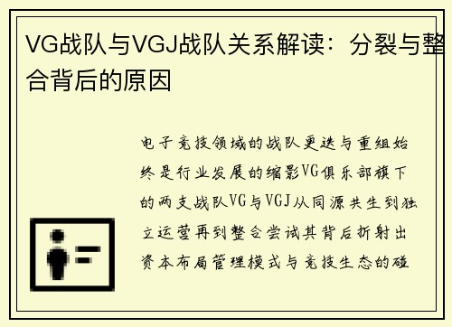 VG战队与VGJ战队关系解读：分裂与整合背后的原因